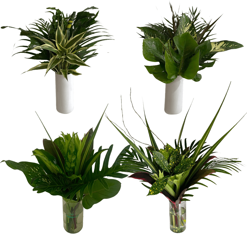 Jafe Tropical Greenery Foliage Round Bouquet Fresh Arrangement
