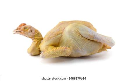 Regular Chicken (Aziz Com) 4lb