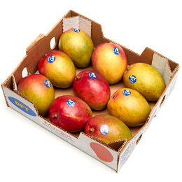 Kent Mango