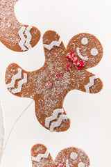 25" Gingerbread Spray