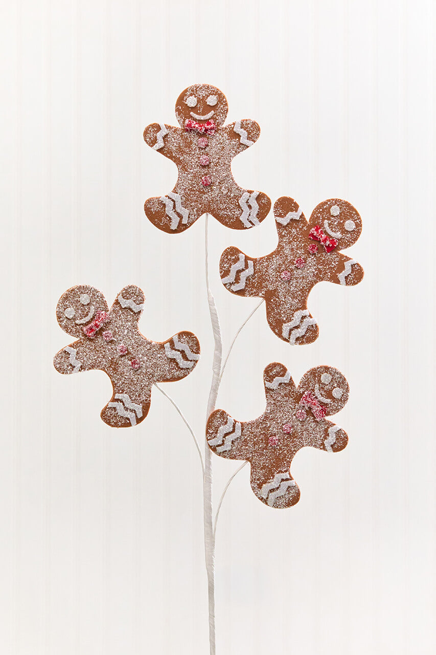 25" Gingerbread Spray
