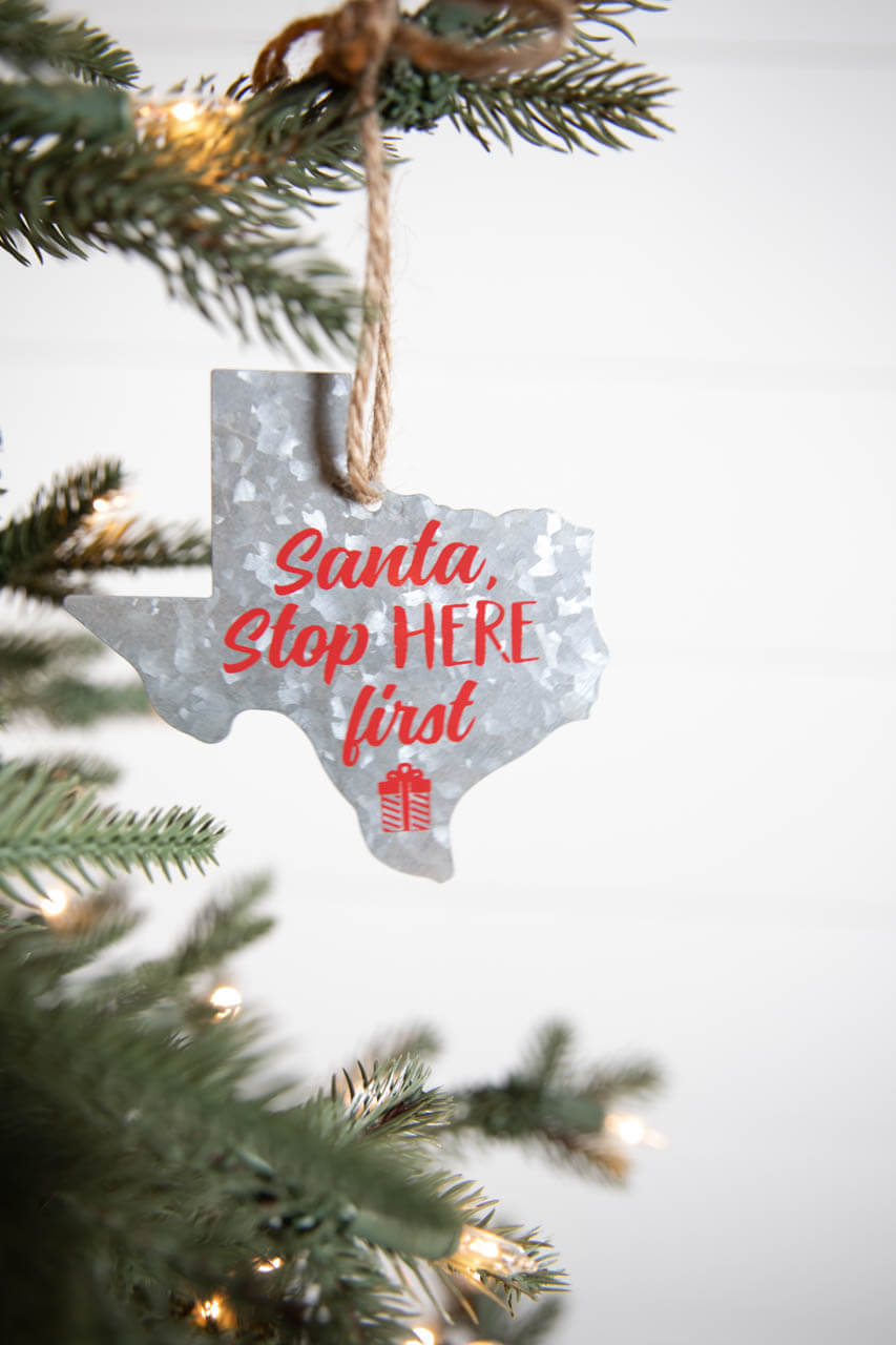 4” Galvanized Metal Texas Ornament