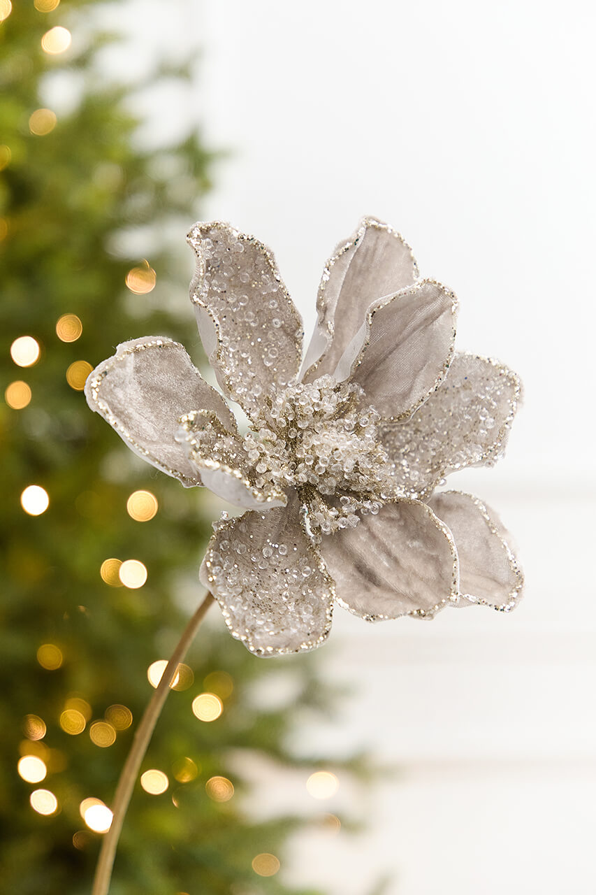 20" x 8.5” Platinum Magnolia Stem
