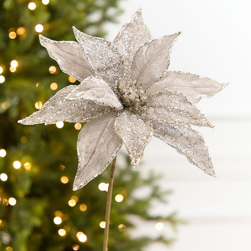 20" x 11” Platinum Poinsettia Stem