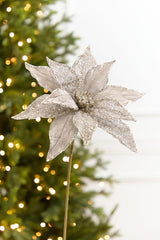 20" x 11” Platinum Poinsettia Stem