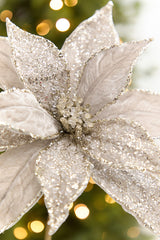 20" x 11” Platinum Poinsettia Stem
