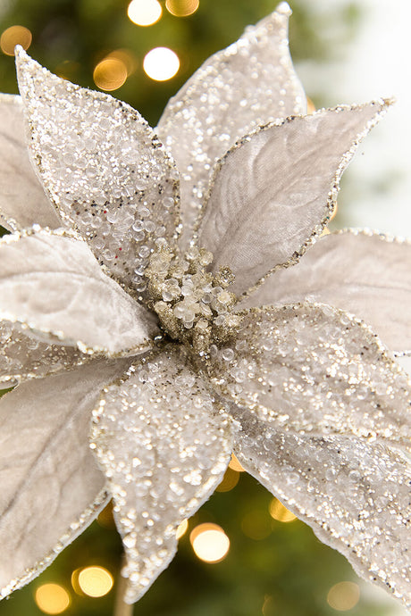 20" x 11” Platinum Poinsettia Stem