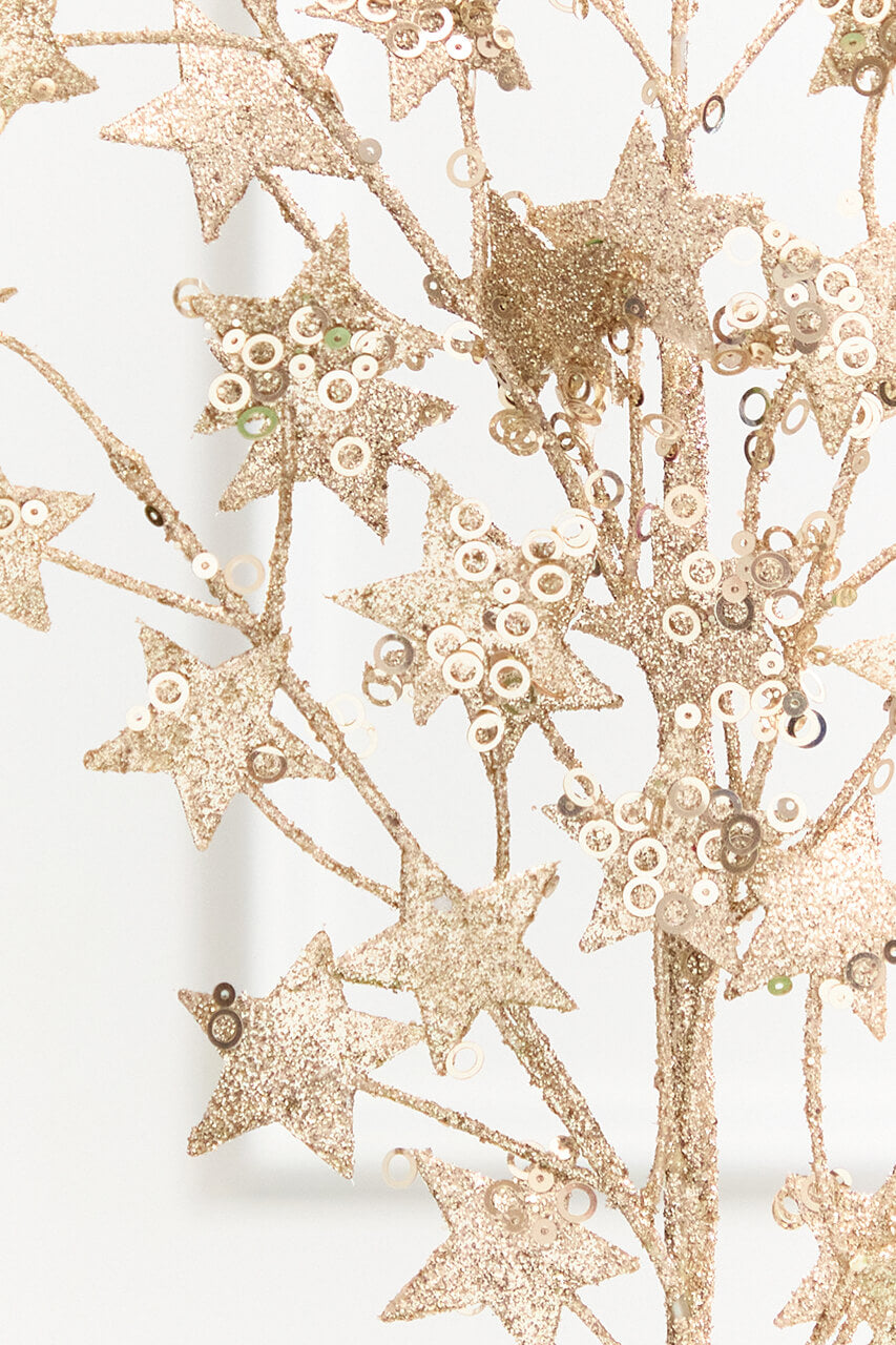 31" Champagne Star Spray