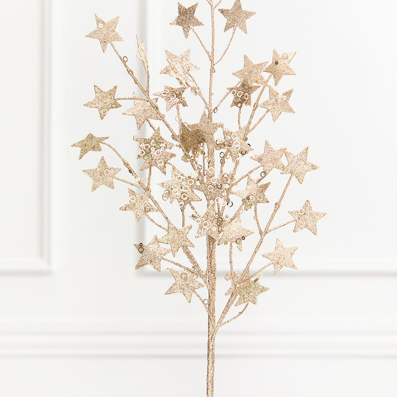 31" Champagne Star Spray