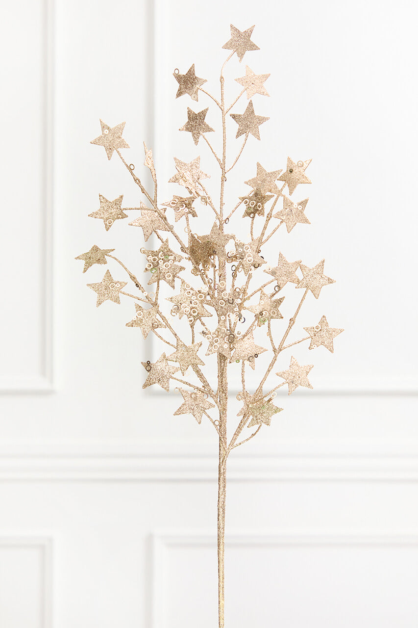 31" Champagne Star Spray