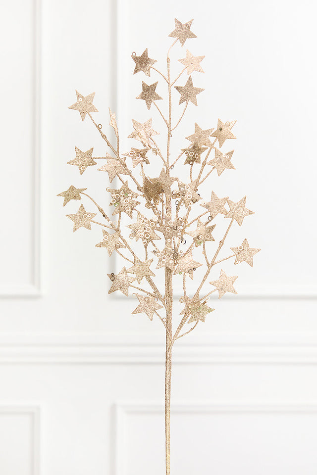 31" Champagne Star Spray