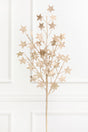 31" Champagne Star Spray