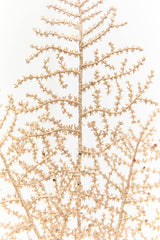 35" Champagne Glitter Fern Spray