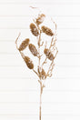 36" Snowy Golden Pinecone Spray