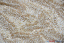 Spider Web Sequins Polyester Fabric - Metallic Web Sequins, Sheer, 54" Wide (1 Yard)