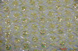 Coco Star Sheer Embroidery Fabric - Champagne, Gold, Silver Star Sequins, Double Scallop Lace, 52" Width