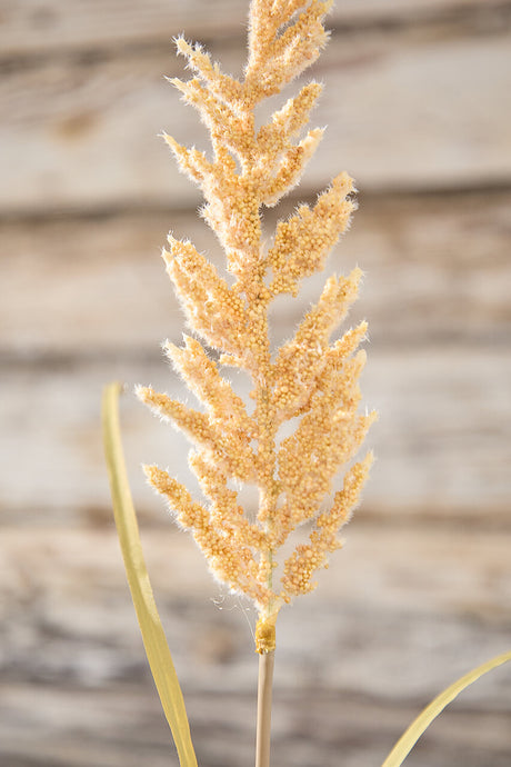 38" Golden Field Grass Stalk