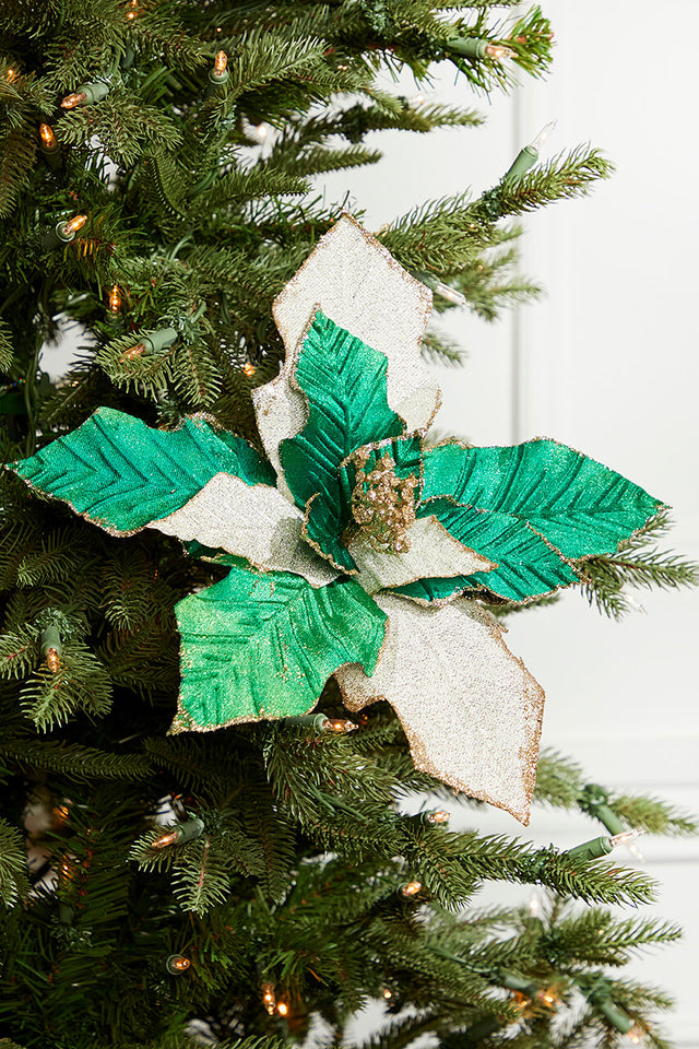 19" x 12" Green Champagne Poinsettia Stem