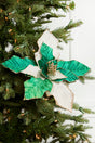 19" x 12" Green Champagne Poinsettia Stem