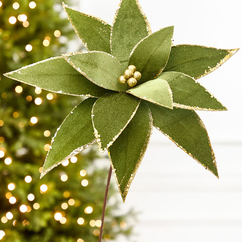 20" x 15" Olive Velvet Glitter Poinsettia Stem