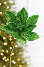 20" x 9.5" Bright Green Poinsettia Stem