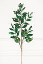 26" Dark Green Metallic Pomegranate Stem