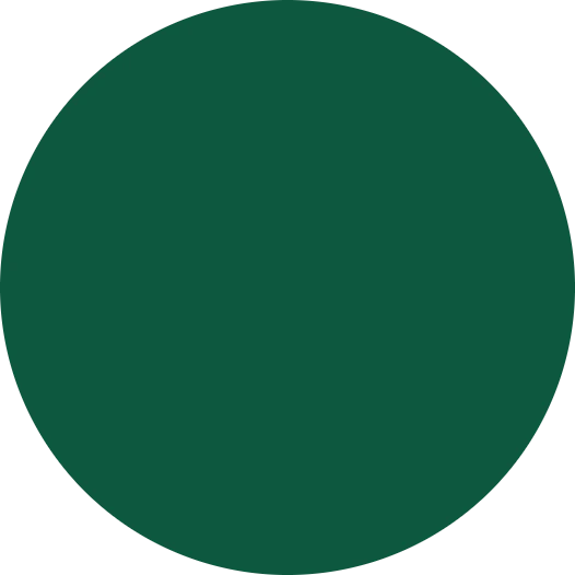 Sign 651 Oracal Vinyl - Green Vinyl Fabric - Green, High Gloss Calendered, 15" Width (1 Foot)