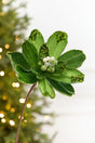 18" x 9" Lime Jewel Magnolia Stem