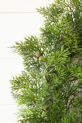 18" Cypress Berry Wreath