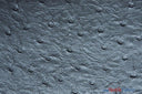 Ostrich Vinyl Faux Leather Vinyl Fabric - Ostrich Texture, 54" Width (1 Yard)