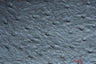 Ostrich Vinyl Faux Leather Vinyl Fabric - Ostrich Texture, 54" Width (1 Yard)