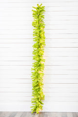 9 Foot Lime Green Garland with LED Lights 270 Tips Christmas Holiday Decor