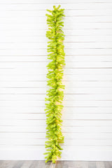 9' x 14 Inch Lime Green Garland with LED Lights Vibrant Christmas Mantel & Door Décor