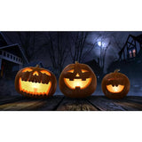 Halloween Digital Decoration DVD Jack-O-Lantern Jamboree