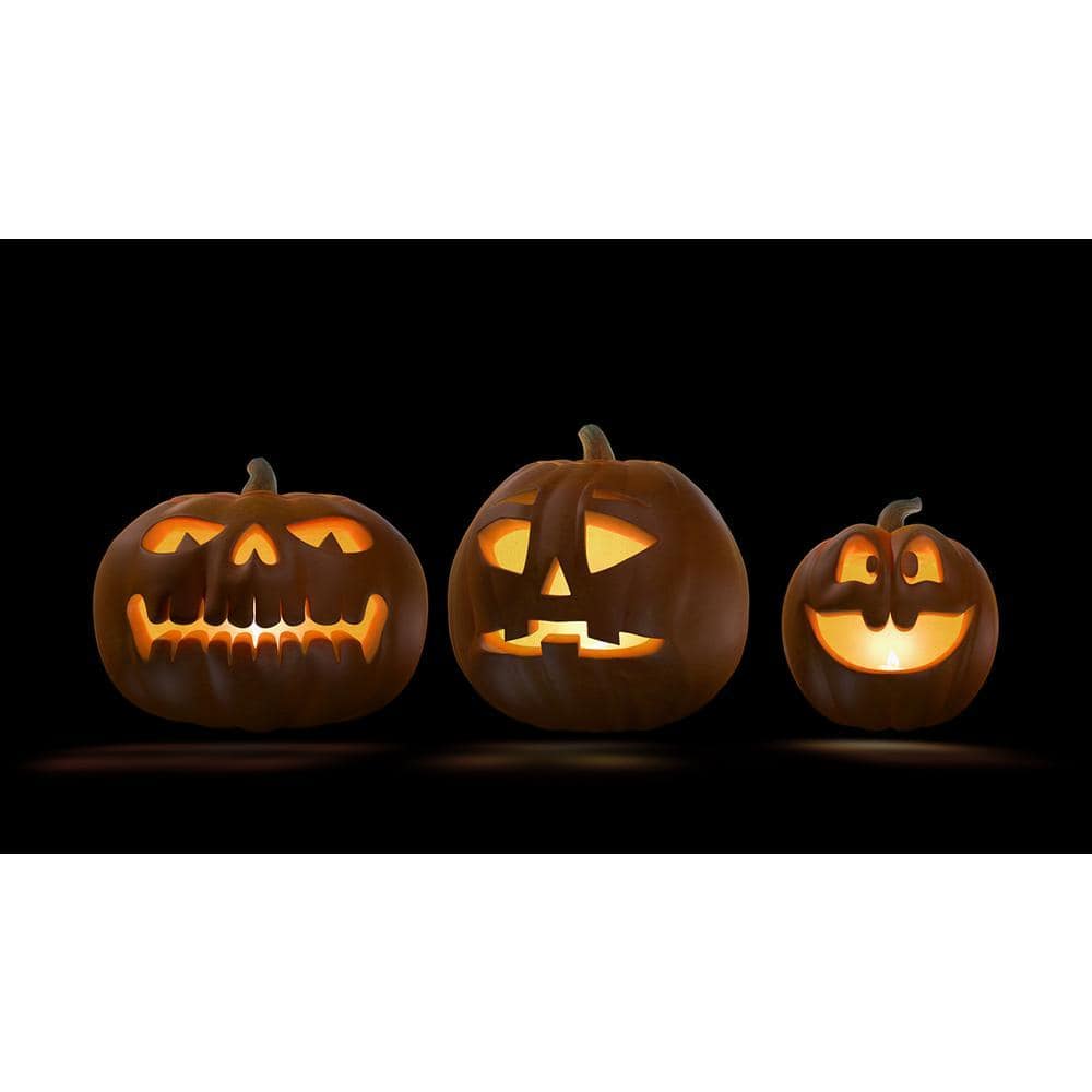Halloween Digital Decoration DVD Jack-O-Lantern Jamboree