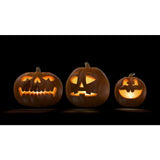 Halloween Digital Decoration DVD Jack-O-Lantern Jamboree