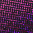 B'Dazzled Holo Nylon Spandex Fabric - Assorted Colors, Hologram Finish, 58/60" Width (1 Yard)