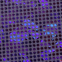 B'Dazzled Holo Nylon Spandex Fabric - Assorted Colors, Hologram Finish, 58/60" Width (1 Yard)