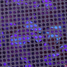 B'Dazzled Holo Nylon Spandex Fabric - Assorted Colors, Hologram Finish, 58/60" Width (1 Yard)