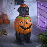 Battery Operated Halloween Classics LED Labrador in Pumpkin Costume Porch Greeter
