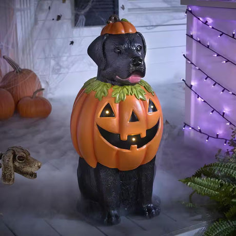Battery Operated Halloween Classics LED Labrador in Pumpkin Costume Porch Greeter