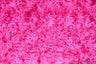 Rosette Satin Polyester Fabric - 3D Satin Floral Embroidery, 52/54" Width (Yards, Bolts, Sample Swatch)