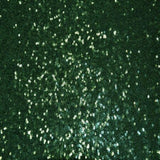 1 Yard Sequin Glitter Embroidery Fabric by Yard for DIY Dress Curtain Backdrop Tablecloth and Event Decor 52 Inch Width