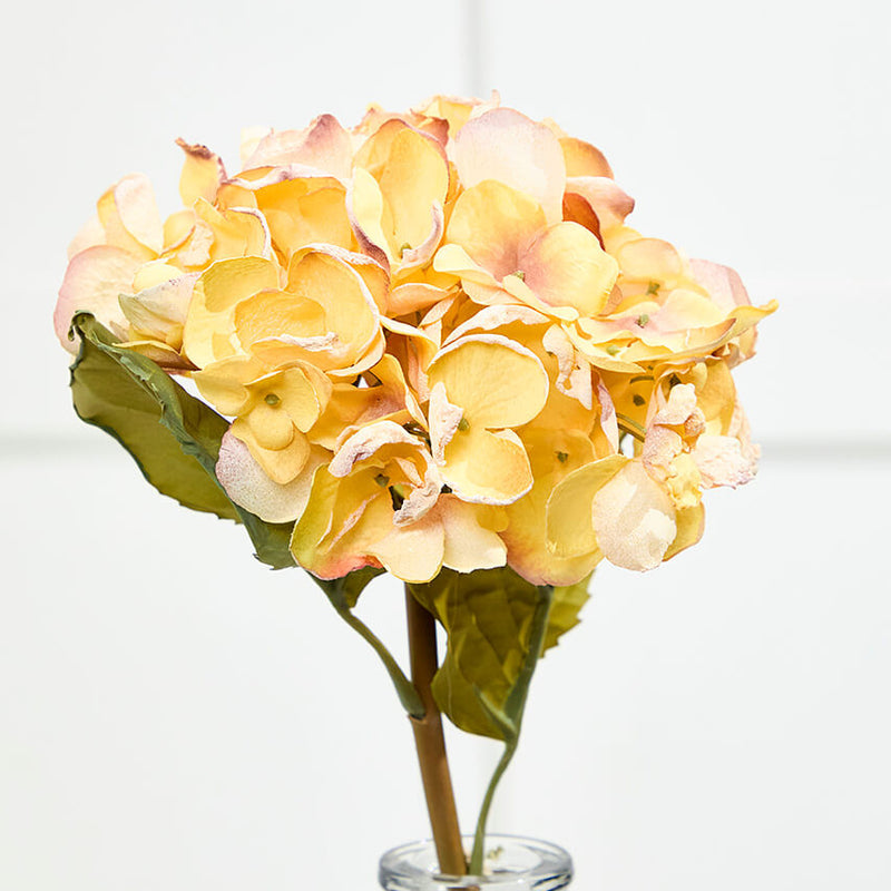 22" Dried Grand Hydrangea Stem – Yellow Sunshine Floral Decor