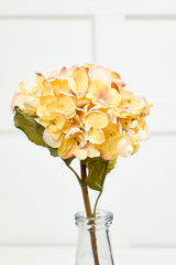 22" Dried Grand Hydrangea Stem - Yellow