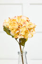 22" Dried Grand Hydrangea Stem - Yellow