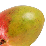 Trader Joe’s Mango 1 Each