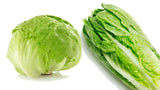 Lettuce: Iceberg