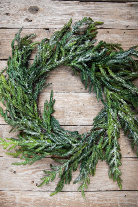 24” Iced Garden Norfolk Pine Wreath