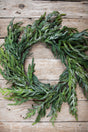 24” Iced Garden Norfolk Pine Wreath